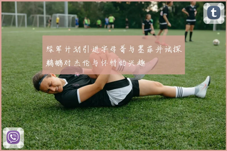 绿军计划引进字母哥与墨菲并试探鹈鹕对杰伦与怀特的兴趣